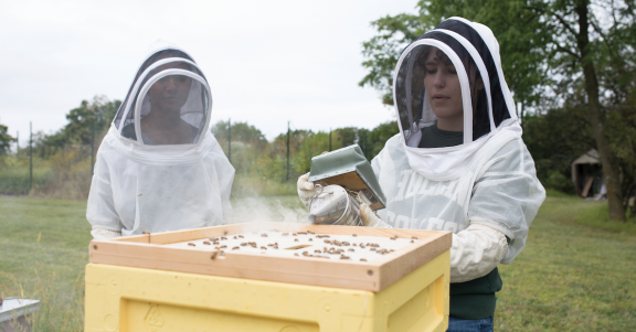 Beekeeping at Lehigh University