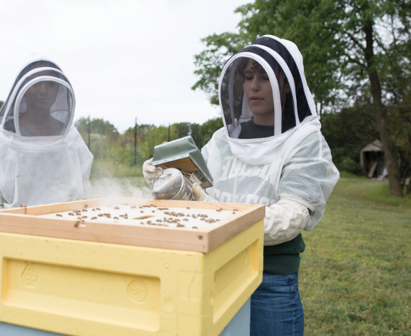 beekeeping