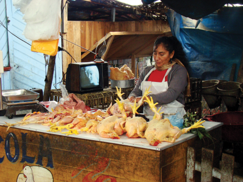 Peruvian poultry vendor
