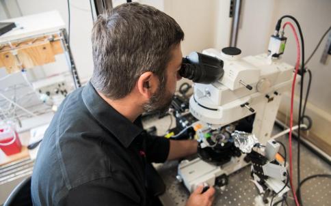 Neuroscientist Michael Burger in the lab